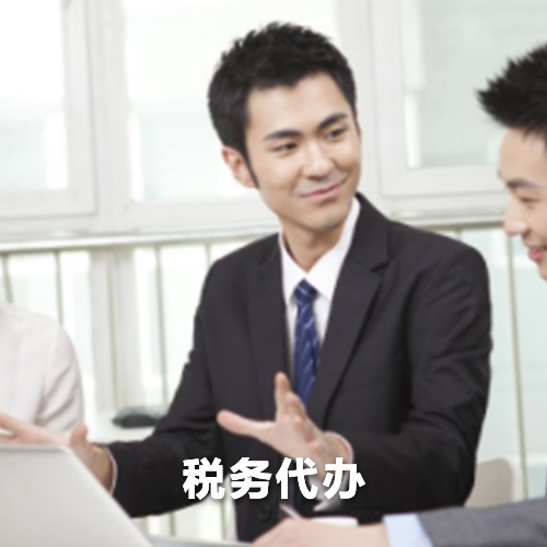 一般纳税人申请、税务稽查、税务问题解决